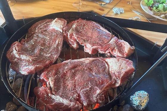 Le Kota Grill Finlandais D'Hortense - photo 0