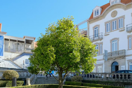Bemyguest Viseu - photo 3