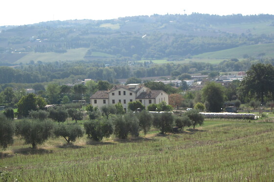 Agriturismo Poggio Ajano - photo 5