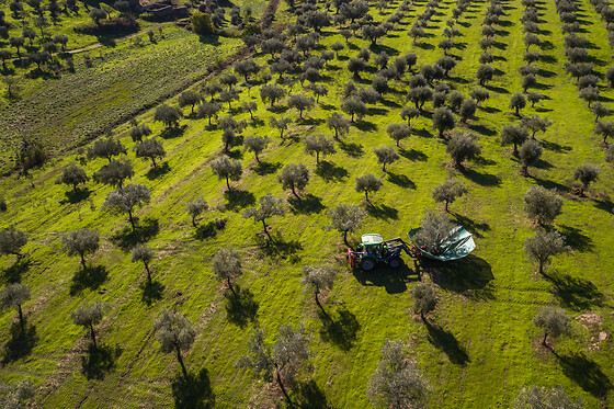 QUINTA DO PRADO - ACUSHLA - photo 3