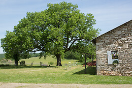 Domaine de Bel-Air