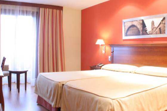HOTEL CAMPOS DE BAEZA - photo 8