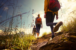 MADEIRA TRAIL TOURS