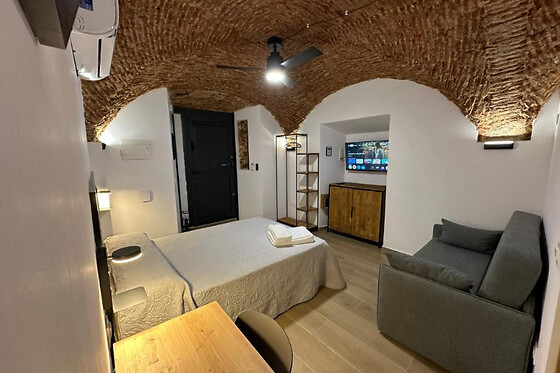 APARTAMENTO TURÍSTICO ENTRE BÓVEDAS - photo 7