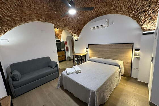 APARTAMENTO TURÍSTICO ENTRE BÓVEDAS - photo 8