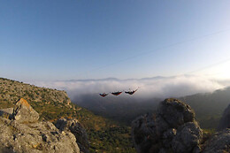 VIVE AVENTURA