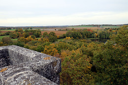 Oxygene 40
