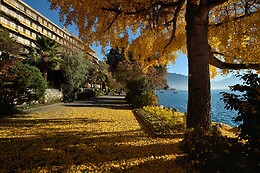 Royal Plaza Montreux*****