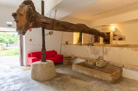 Meio Center Country House - photo 7