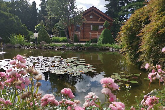 Molenhoeve - Wellness & Sauna Resort - photo 7