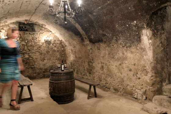 Château De La Roque Forcade - photo 7