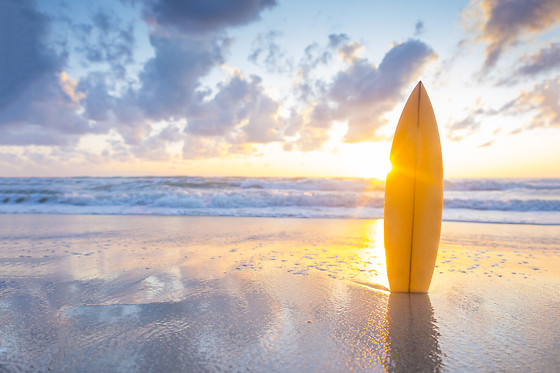 Onda Pura - Surf School - photo 4