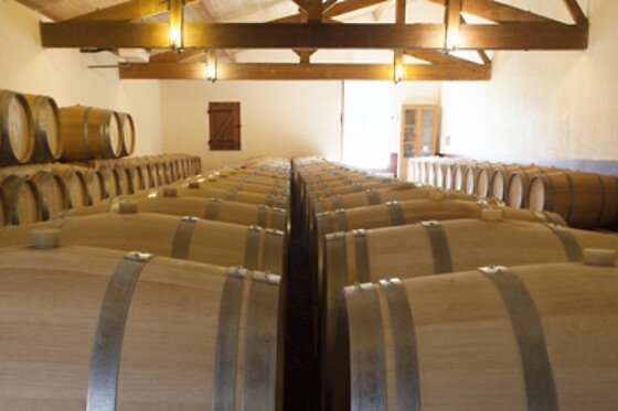 Château Champion - St-Emilion Grand Cru - photo 2
