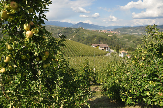 Antica Residenza de Poda - photo 3