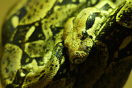 Zoo La Boissière du Doré