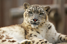 Zoo La Boissière du Doré