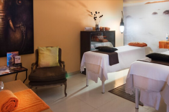 HOTEL SEGOVIA SIERRA DE GUADARRAMA - photo 20