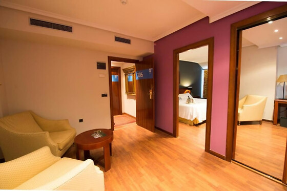 HOTEL SEGOVIA SIERRA DE GUADARRAMA - photo 14