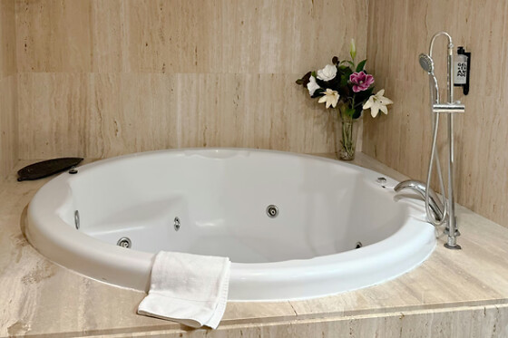 HOTEL SEGOVIA SIERRA DE GUADARRAMA - photo 15
