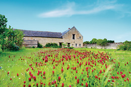 Le Clos Bizay