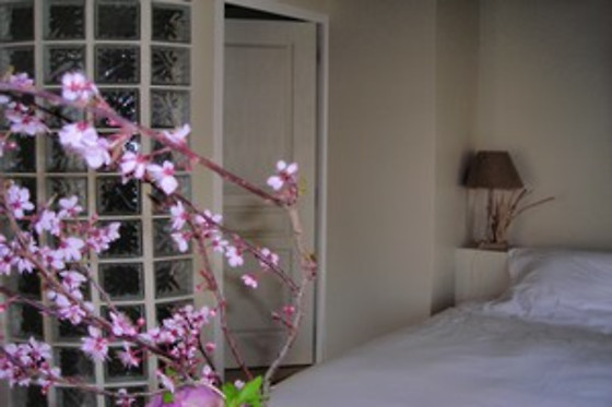 Le clos Sainte Anne - photo 15