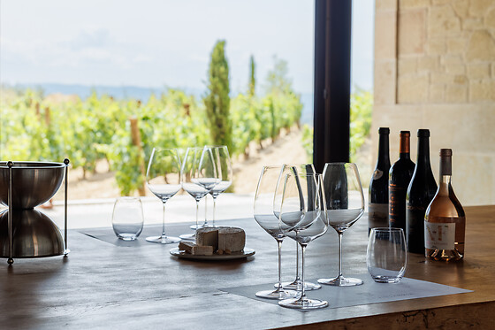 VIÑEDOS Y BODEGAS SIERRA CANTABRIA - photo 1