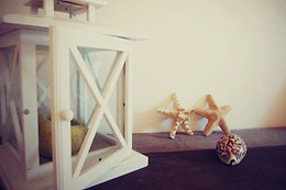 B&B Oesterhoeve