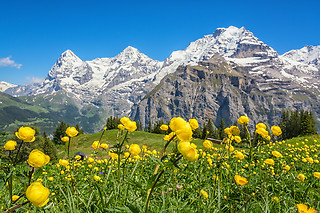 Svizzera irresistibile