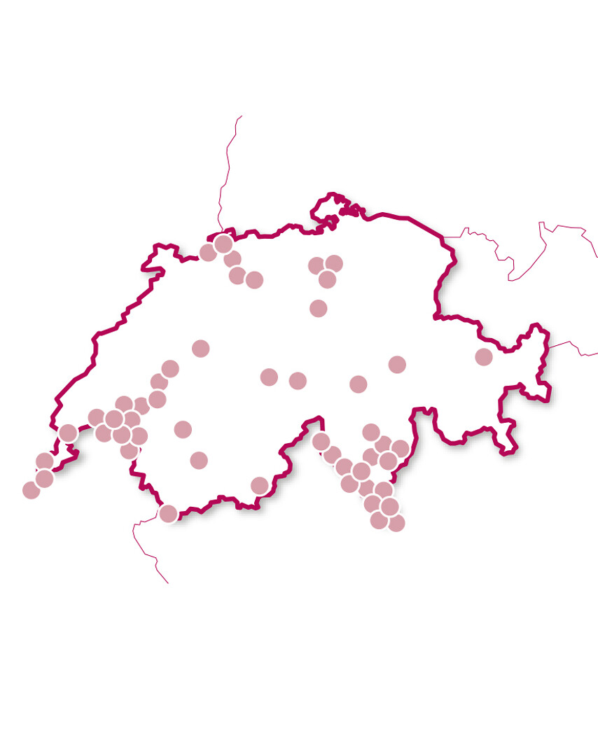 Romantischer Genuss