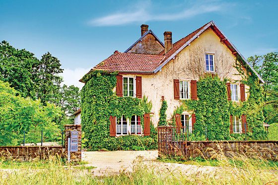 Moulin de Montferney - photo 15