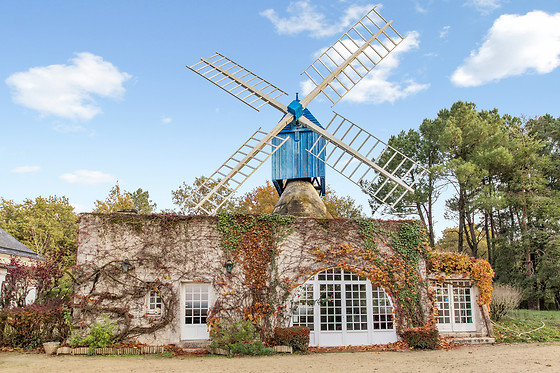 Le Moulin Bleu - photo 0