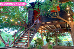 NATURE TREE HOUSE