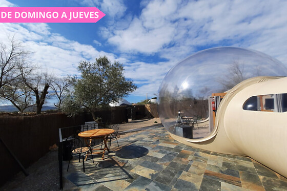 LAS BEATAS Y ZIELO LAS BEATAS - photo 7
