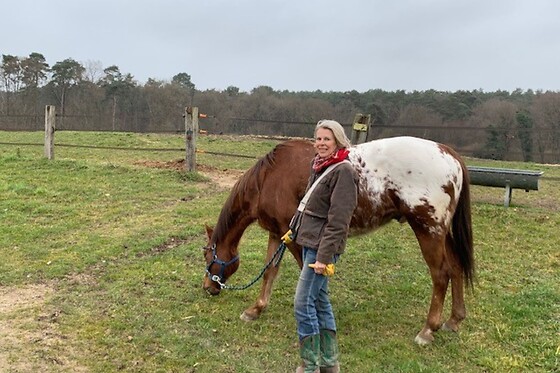 Equicoaching - photo 7