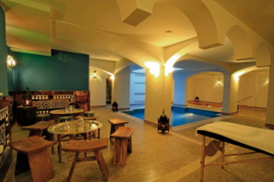 CASA BAÑOS DE LA VILLA - photo 10