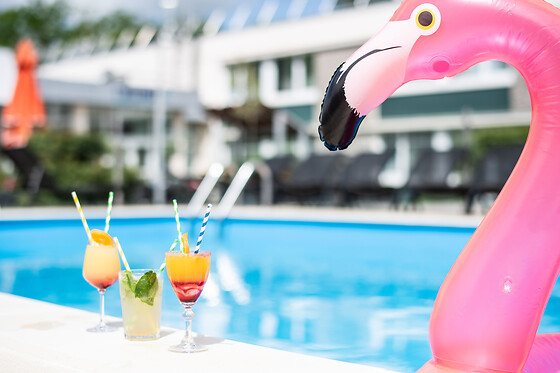 NOVOTEL EVRY COURCOURONNES - photo 4