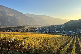 Weinwanderung Salgesch