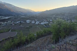 Weinwanderung Salgesch