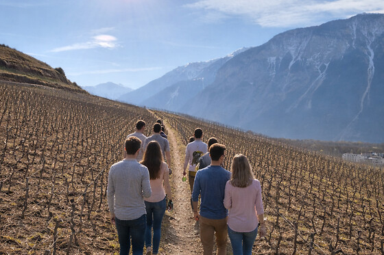 Weinwanderung Salgesch - photo 3