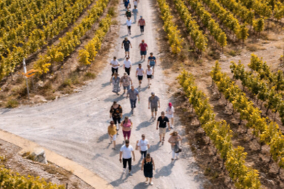 Weinwanderung Salgesch - photo 4