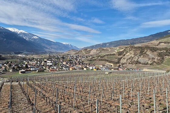 Weinwanderung Salgesch - photo 6