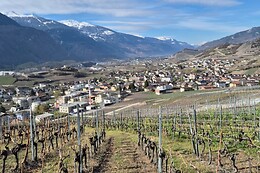 Weinwanderung Salgesch