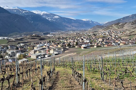 Weinwanderung Salgesch - photo 7