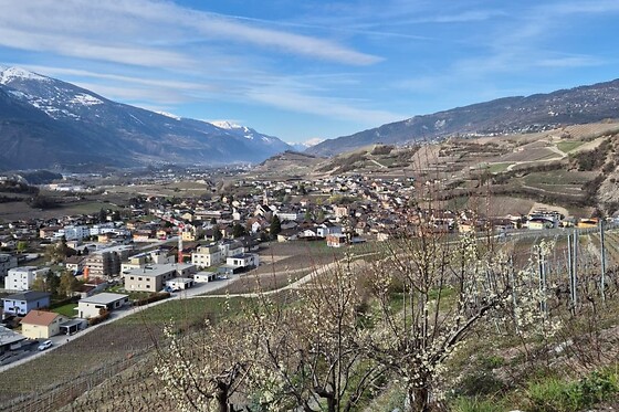 Weinwanderung Salgesch - photo 8