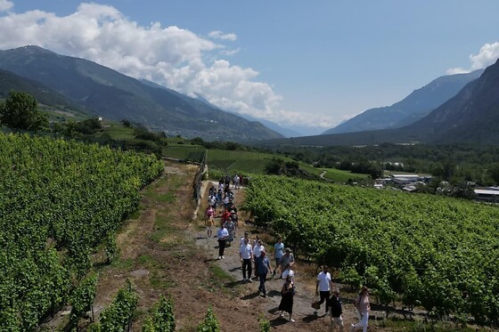 Weinwanderung Salgesch - photo 10