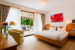 Hotel Collinetta Ascona***