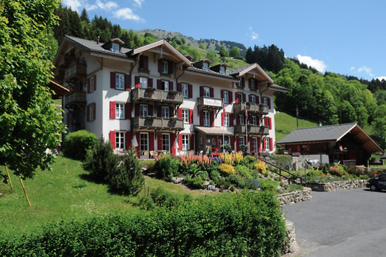 Swiss Historic Hotel du Pillon - photo 2