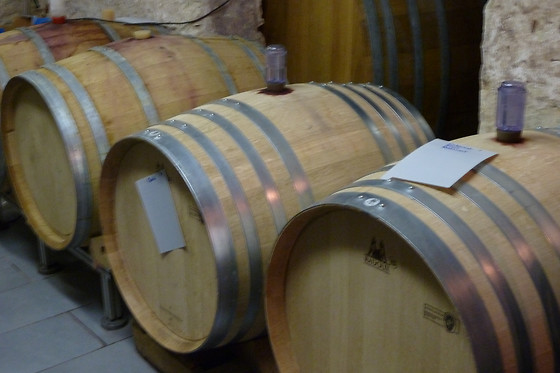 Domaine du Pampre - photo 8