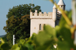 Domaine du Pampre