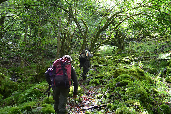 Pays de l'Ours - Adet - photo 6